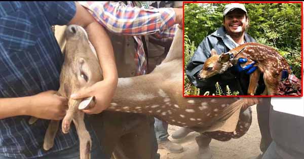 কুকুরের আক্রমণ থেকে হরিণ উদ্ধার করলো গ্রামবাসী